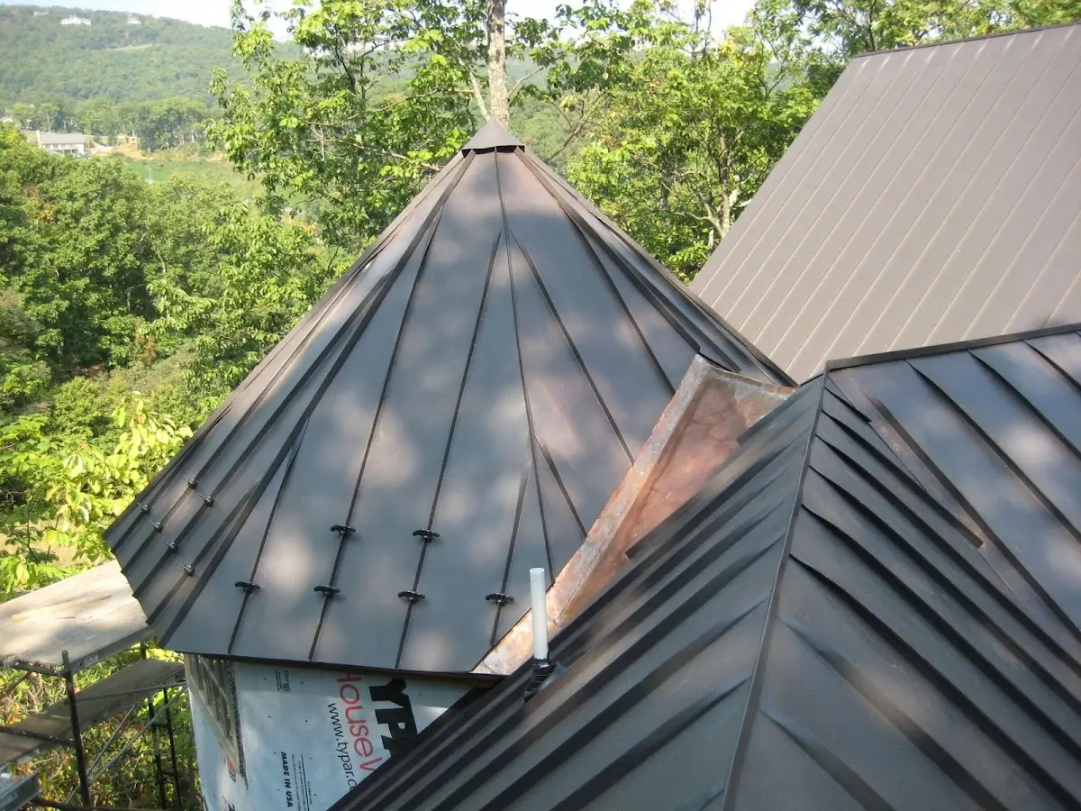 Professional Gutter Cleaning by Craftsman Roofing in Del Prado Bolsa
